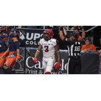 Washington Valor wide receiver Reggie Gray after scoring a touchdown against the Albany Empire