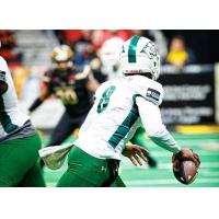 Green Bay Blizzard quarterback Lenorris Footman