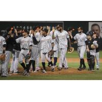 Long Island Ducks exchange high fives after a win