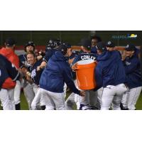 Lakewood BlueClaws prepare a Gatorade shower for Cole Stobbe