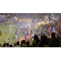 Las Vegas Lights FC fans celebrate at a game