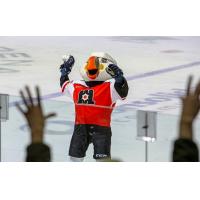 Maine Mariners mascot Beacon tosses a t-shirt