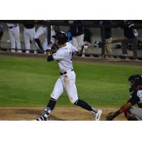 Will Kengor of the Somerset Patriots