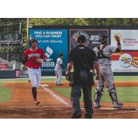 Tristen Lutz of the Carolina Mudcats trots home following his home run