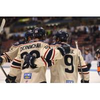 South Carolina Stingrays huddle up after a goal