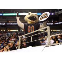 Arizona Rattlers mascot Fang