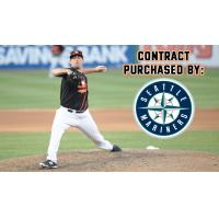 Long Island Ducks pitcher Sean Nolin