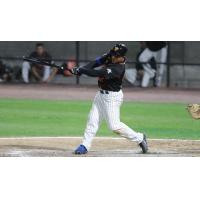 Ezequiel Carrera of the Long Island Ducks