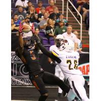 Anthony Amos of the Arizona Rattlers hauls in a catch vs. the Tucson Sugar Skulls