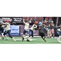 Washington Valor quarterback Arvell Nelson prepares to throw against the Philadelphia Soul