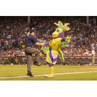 Birdzerk at the Syracuse Mets game