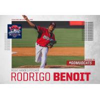 Carolina Mudcats pitcher Rodrigo Benoit