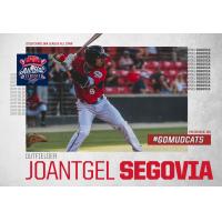 Carolina Mudcats outfielder Joantgel Segovia