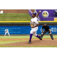 Winston-Salem Dash pitcher Luis Ledo