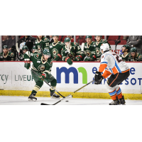 Iowa Wild defenseman Matt Bartkowski (left)