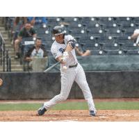 Giancarlo Stanton at bat for the Tampa Tarpons