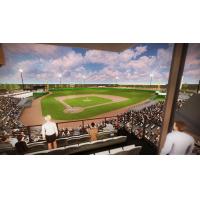 The view from Ascension Club Level at Routine Field