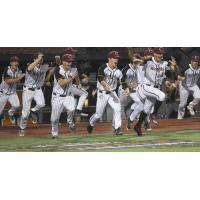 Corvallis Knights rush the field