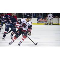 Corpus Christi IceRays forward Matthew Headland