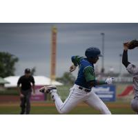 Rubendy Jaquez of the Lexington Legends