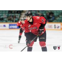 Prince George Cougars forward Vladislav Mikhalchuk