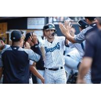 Giancarlo Stanton receives congratulations in the Tampa Tarpons dugout