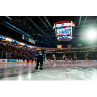 Texas Stars game