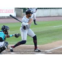 Michael Crouse at bat for the Somerset Patriots