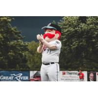 St. Cloud Rox mascot Chisel