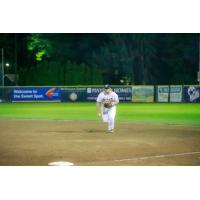 Walla Walla Sweets in the field