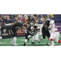 Jacksonville Sharks defense converges on the Carolina Cobras