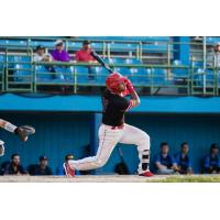 Battle Creek Bombers outfielder Roy Thurman