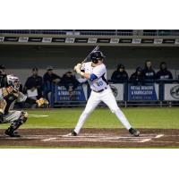 Lakeshore Chinooks infielder Cameron Hart