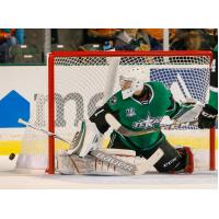 Texas Stars goaltender Tomas Sholl