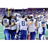 Baltimore Brigade wide receiver Joe Hills is congratulated by teammates after catching a touchdown