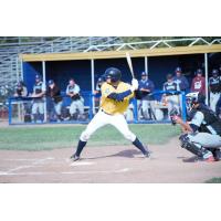 Vallejo Admirals catcher Ricky Gingras at bat