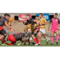 NOLA Gold rugby action