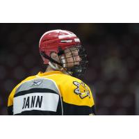 Forward Nolan Dann