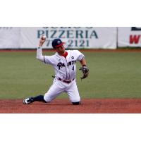 Chillicothe Paints infielder Gavin Homer