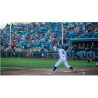 Walla Walla Sweets outfielder Patrick Caulfield