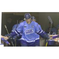 Maine Mariners forward Ryan Gropp in his Wild Blueberries uniform