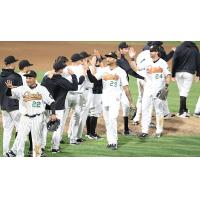 Long Island Ducks exchange high fives after a win