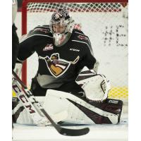 Vancouver Giants goaltender Trent Miner