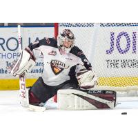 Vancouver Giants goaltender Trent Miner