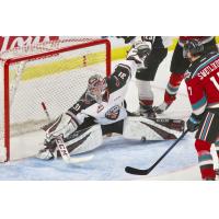 Vancouver Giants goaltender Trent Miner