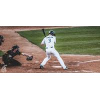 Brady Harlan of the St. Cloud Rox