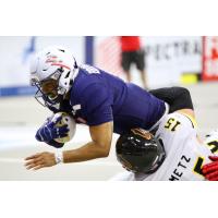 Sioux Falls Storm quarterback Lorenzo Brown dives for yardage against the Tucson Sugar Skulls