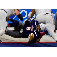 Sioux Falls Storm quarterback Lorenzo Brown dives for the endzone against the Tucson Sugar Skulls