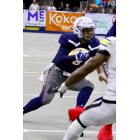 Sioux Falls Storm quarterback Lorenzo Brown looks for room against the Tucson Sugar Skulls