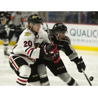 Vancouver Giants centre Justin Sourdif (right) against the Portland Winterhawks